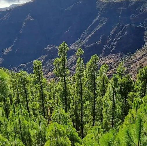 Apartment Casa Doris *